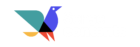 Sense Contents